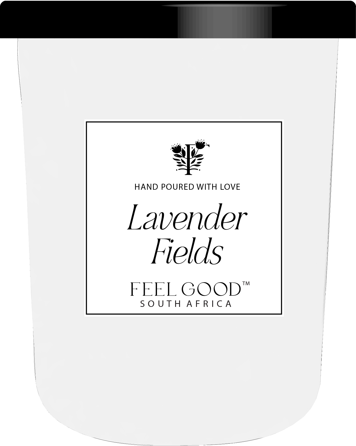 Lavender Fields